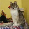 Отзыв от Лера Коровина
